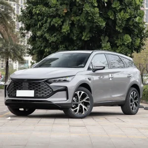 BYD Tang DM-i (7-seater)